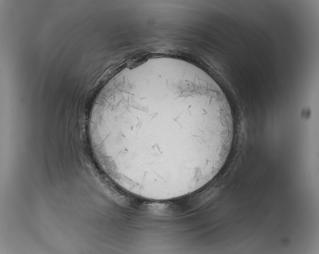 X0000113130265200910021423