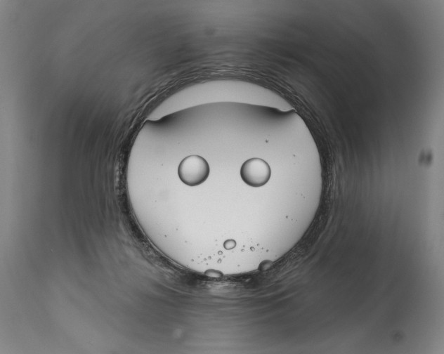 X0000113130268200910021423