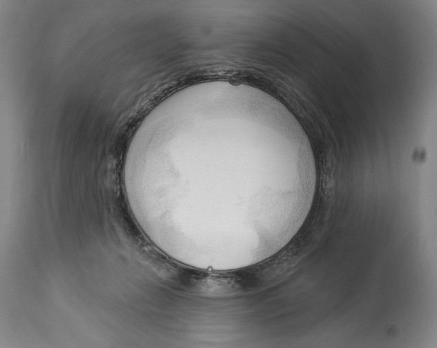 X0000113130270200910021423