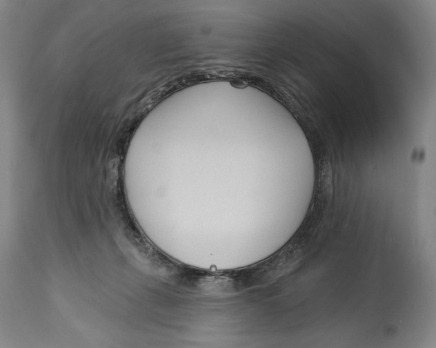 X0000113130271200910021423