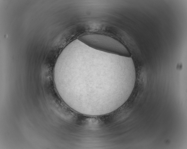 X0000113130272200910021423