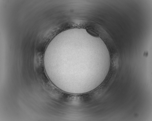 X0000113130276200910021423