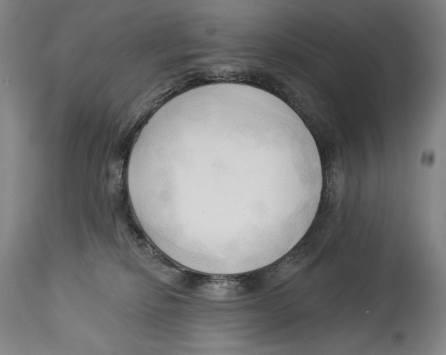 X0000113130278200910021423