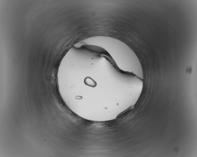 X0000113130280200910021423