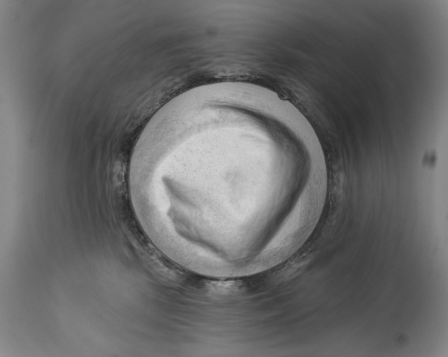 X0000113130281200910021423