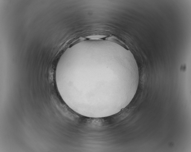 X0000113130282200910021423