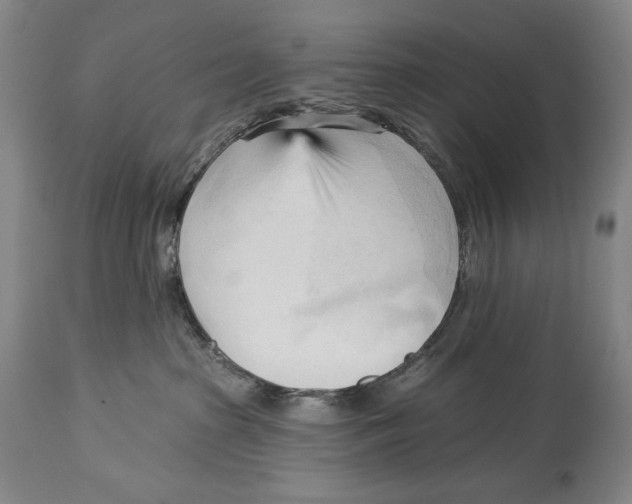 X0000113130285200910021423