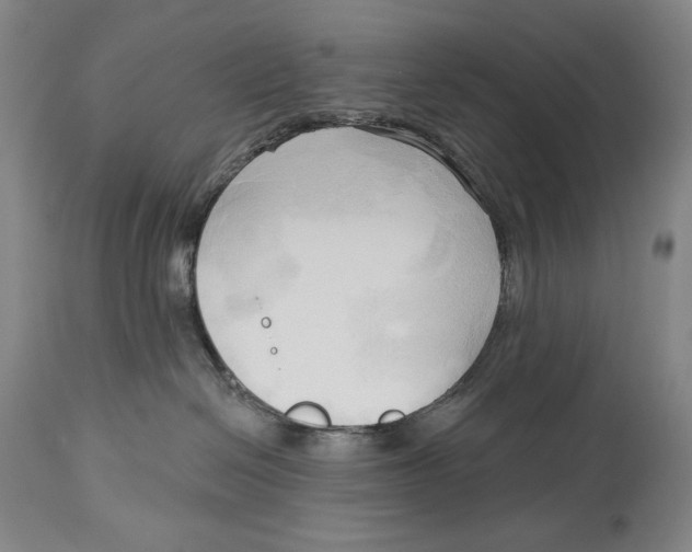 X0000113130286200910021423