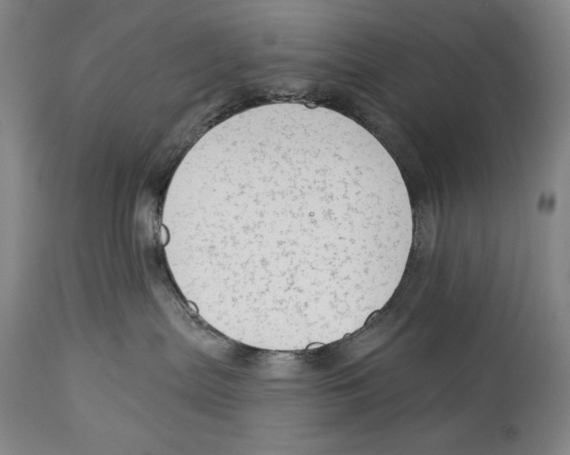 X0000113130287200910021423