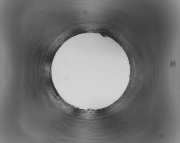 X0000113130288200910021423