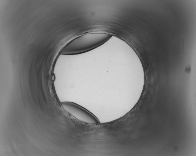 X0000113130289200910021423