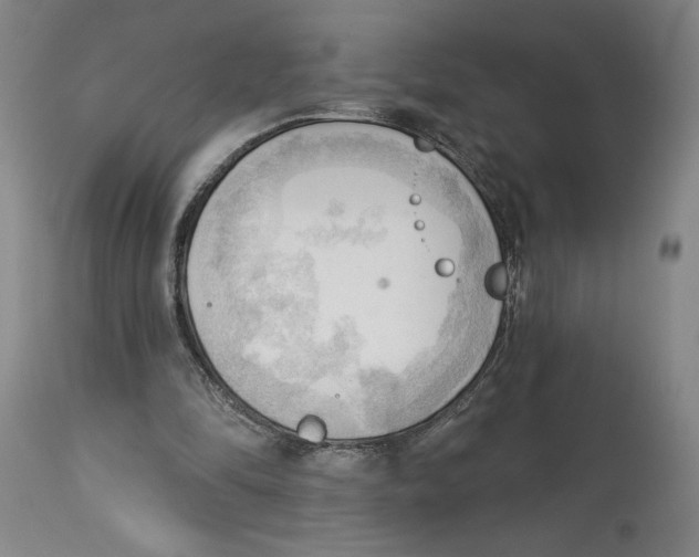 X0000113130294200910021422