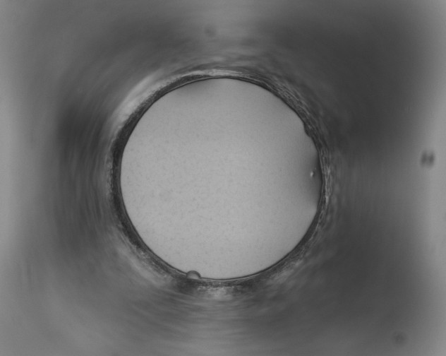 X0000113130295200910021422