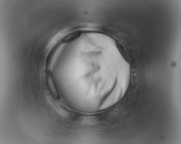 X0000113130296200910021422