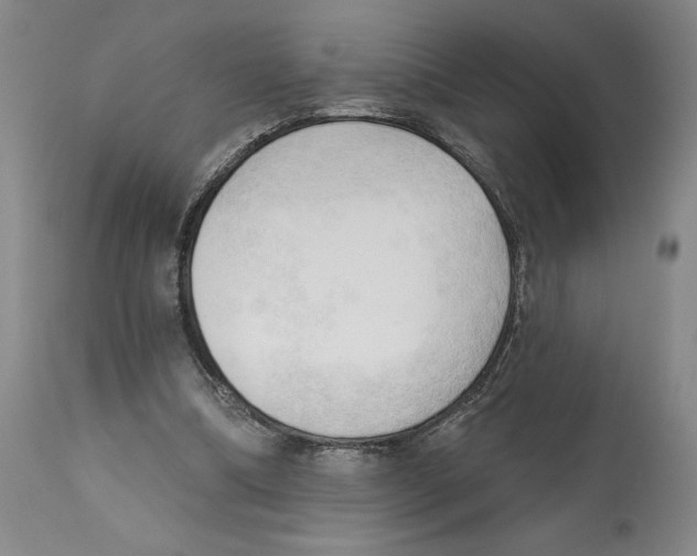 X0000113130298200910021422