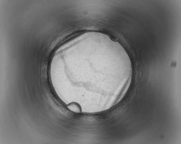 X0000113130299200910021422