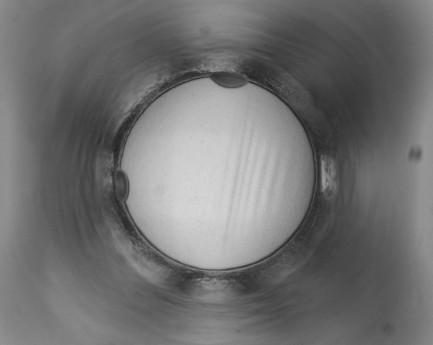 X0000113130300200910021422