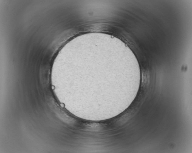 X0000113130301200910021422