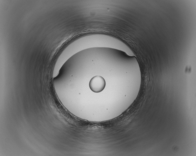 X0000113130304200910021422