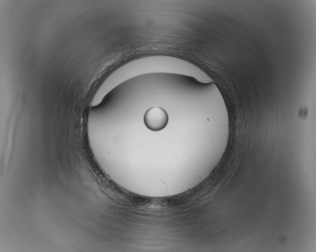 X0000113130308200910021422