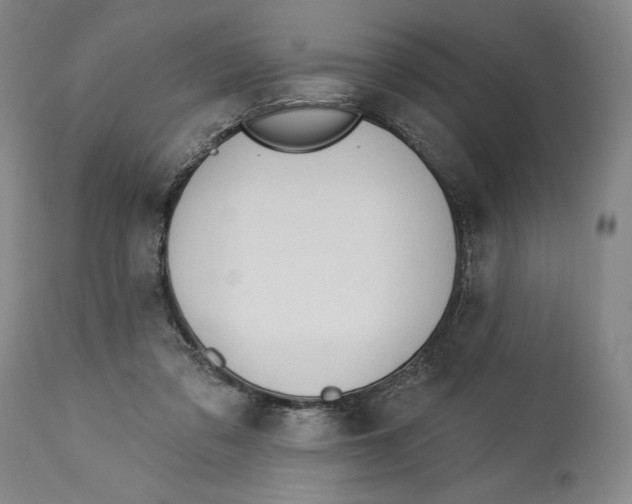 X0000113130309200910021422