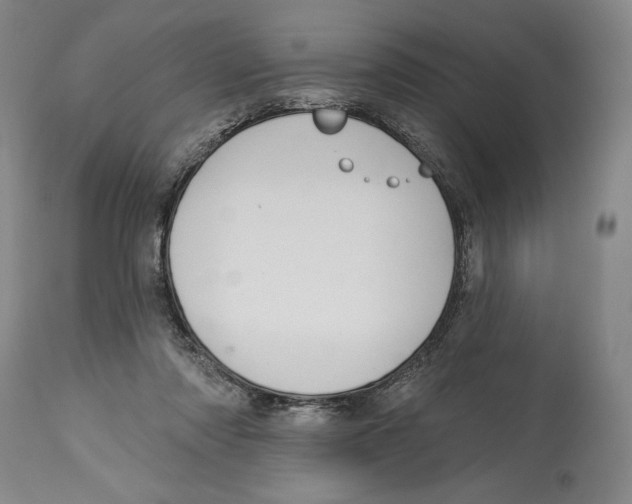 X0000113130310200910021422