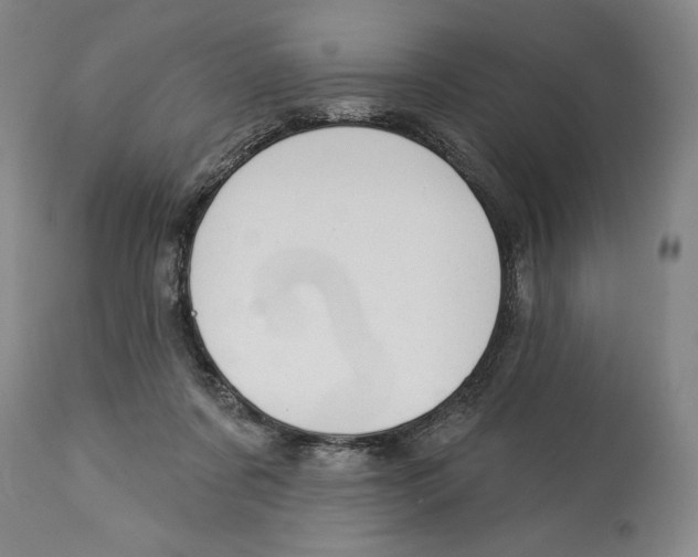 X0000113130311200910021422