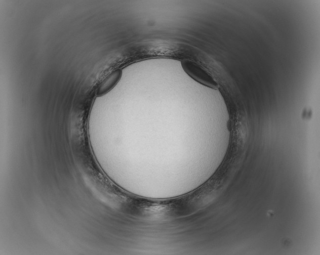 X0000113130312200910021422