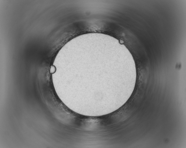 X0000113130313200910021422