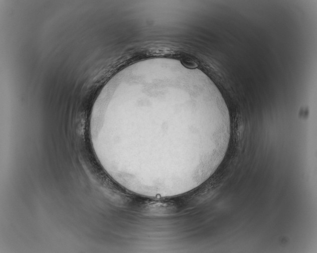 X0000113130315200910021422