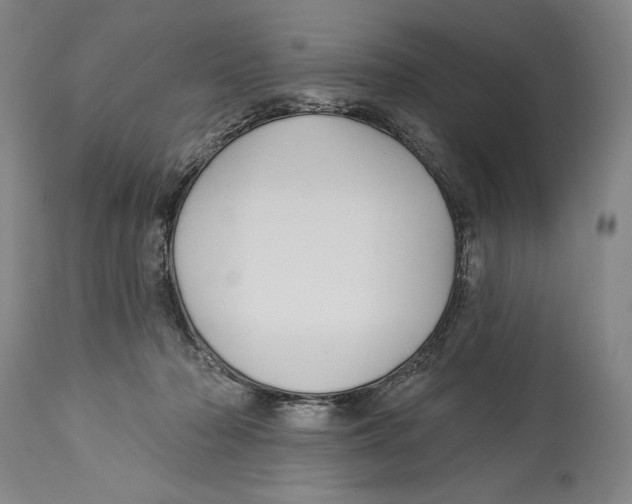 X0000113130318200910021422