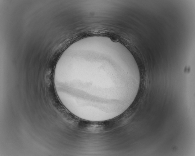 X0000113130319200910021422