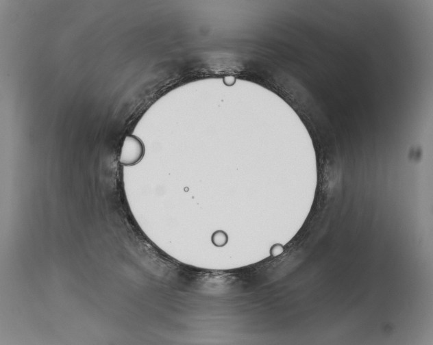 X0000113130321200910021422