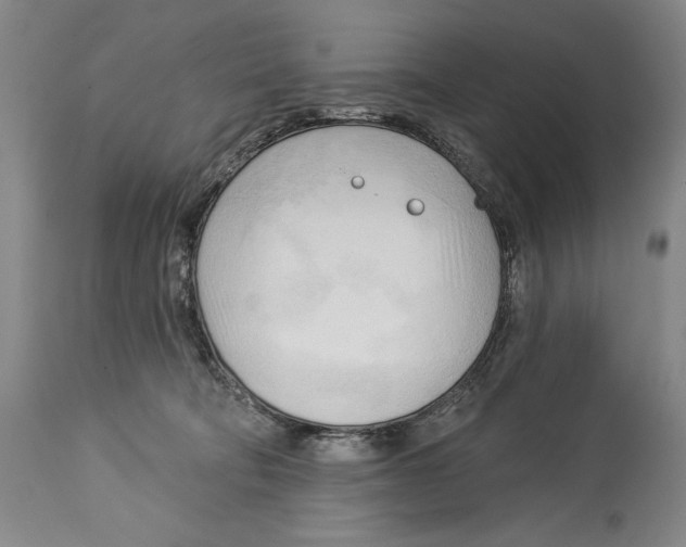 X0000113130322200910021422