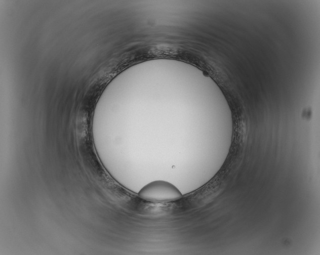 X0000113130323200910021422