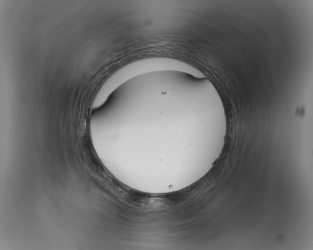 X0000113130324200910021422