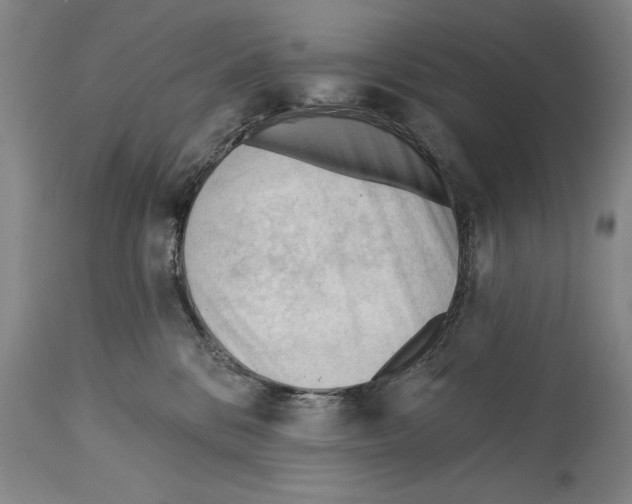 X0000113130328200910021422