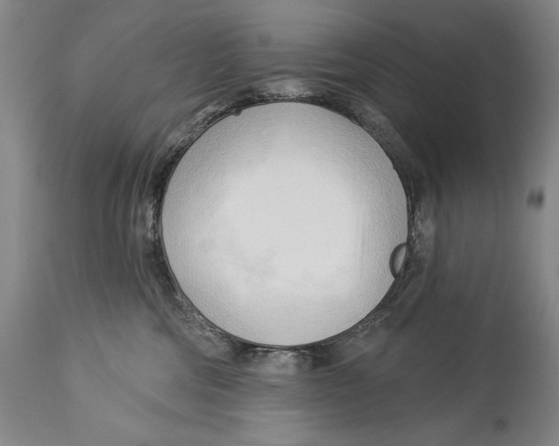 X0000113130330200910021422