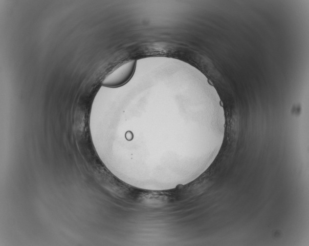 X0000113130331200910021422