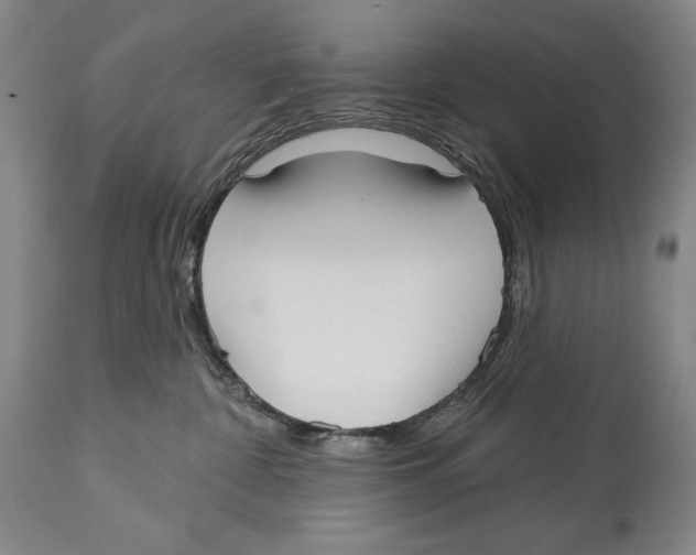 X0000113130332200910021422