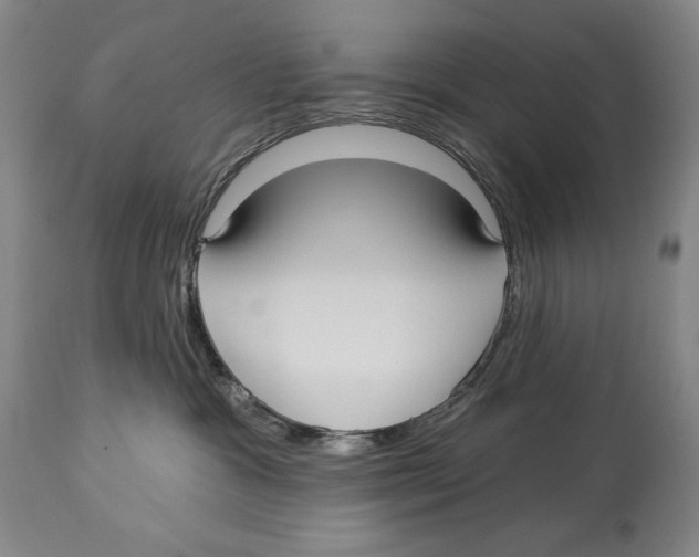 X0000113130333200910021422