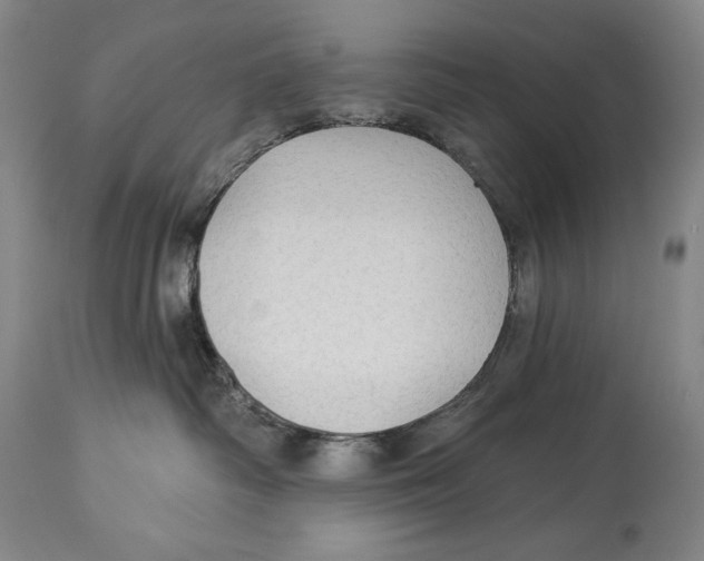 X0000113130334200910021422