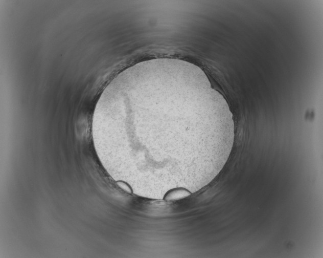 X0000113130335200910021422