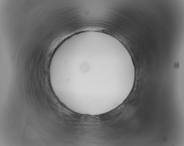 X0000113130337200910021421