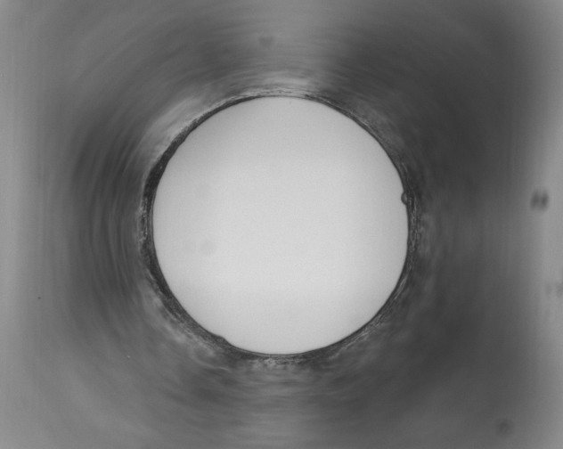 X0000113130338200910021421