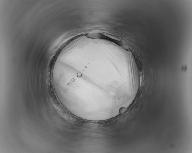 X0000113130339200910021421