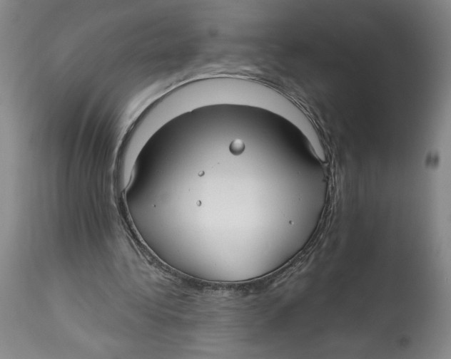 X0000113130340200910021421