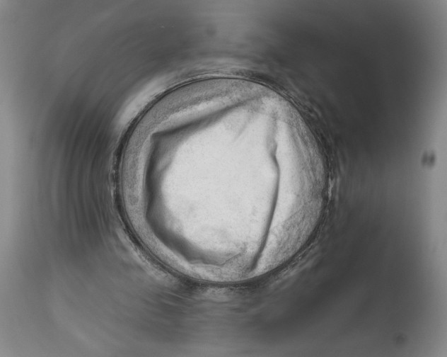 X0000113130341200910021421