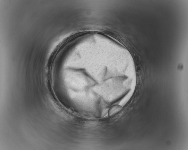 X0000113130342200910021421