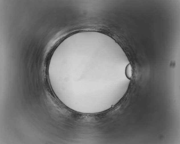 X0000113130343200910021421